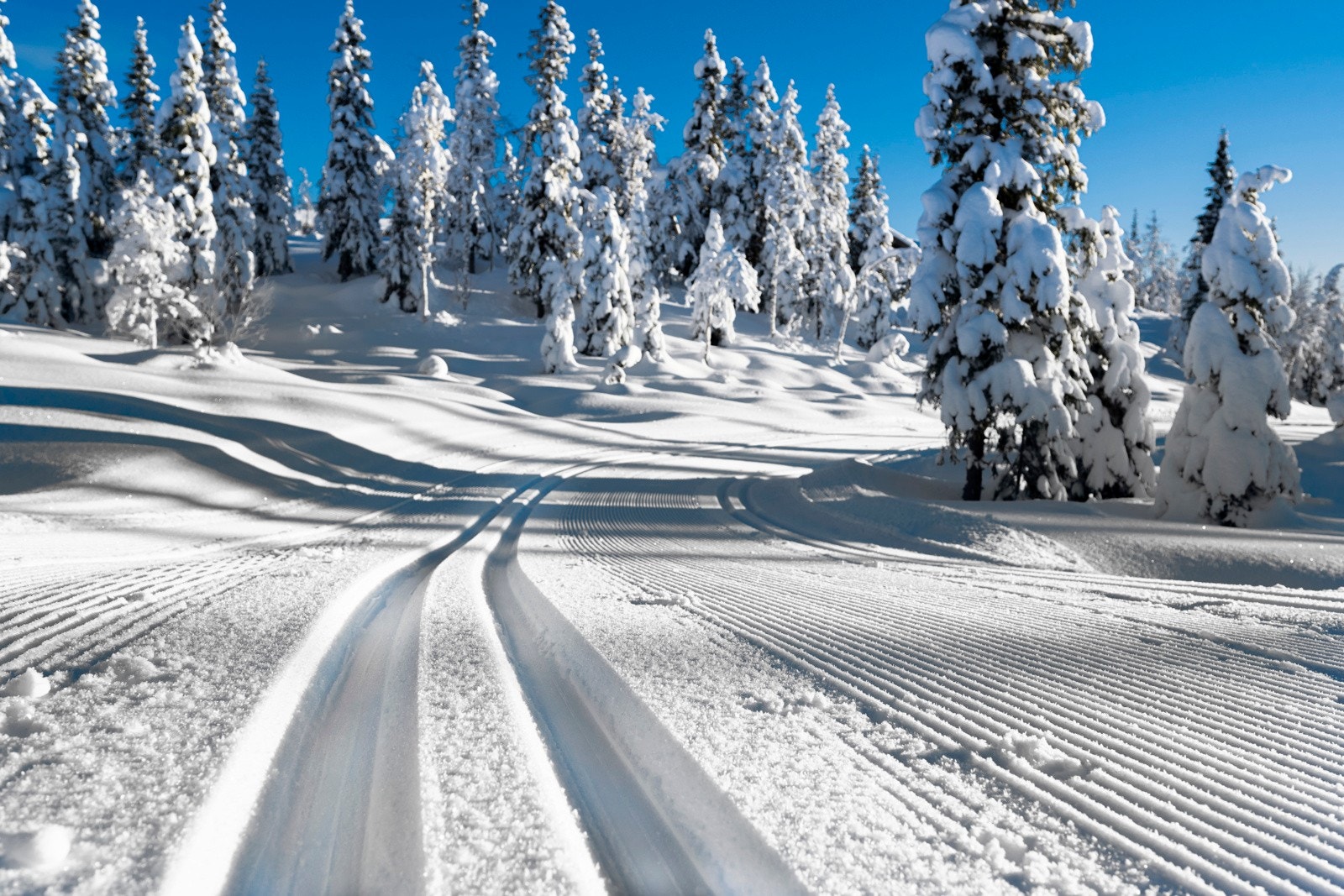 Vinterstid kjøres det opp skiløyper i området og det er et stort nettverk av løyper som strekker seg over det meste av fjellområdene. Galleribilde