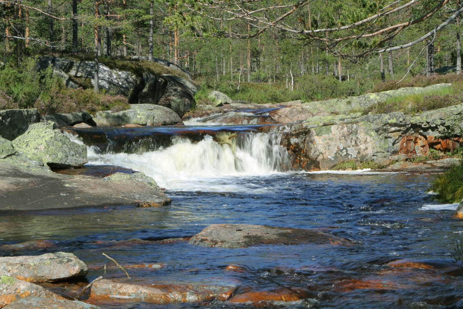 Vikåne Galleribilde