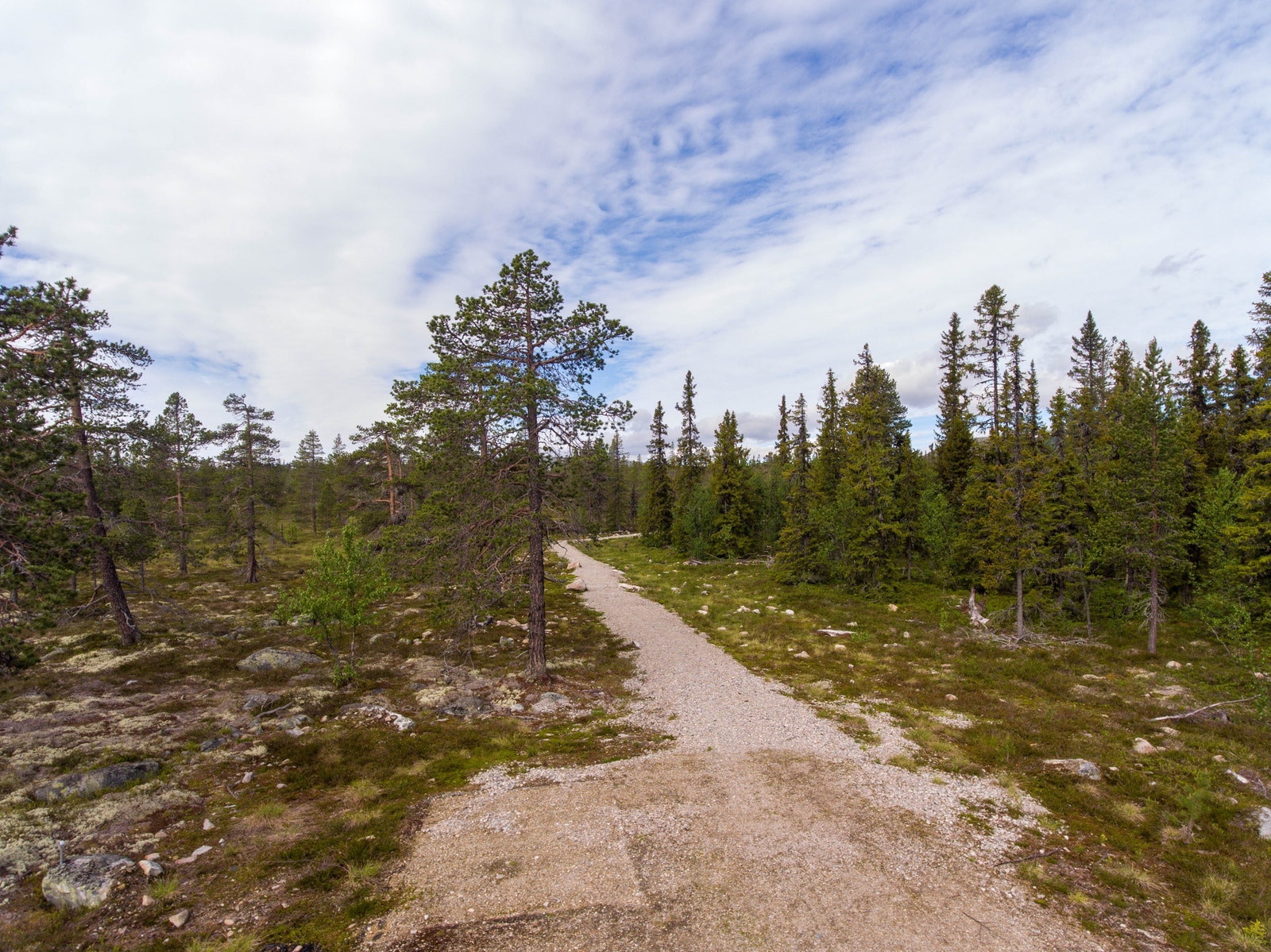 Turstien i vest av Tryvang Sør Galleribilde