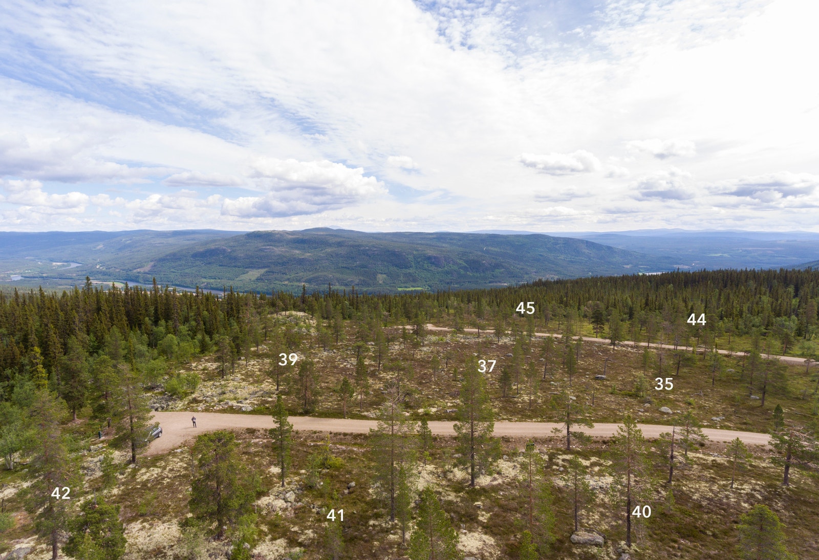 Her ser vi mot et utvalg av tomtene i nordøstlig del av Tryvang Sør Galleribilde