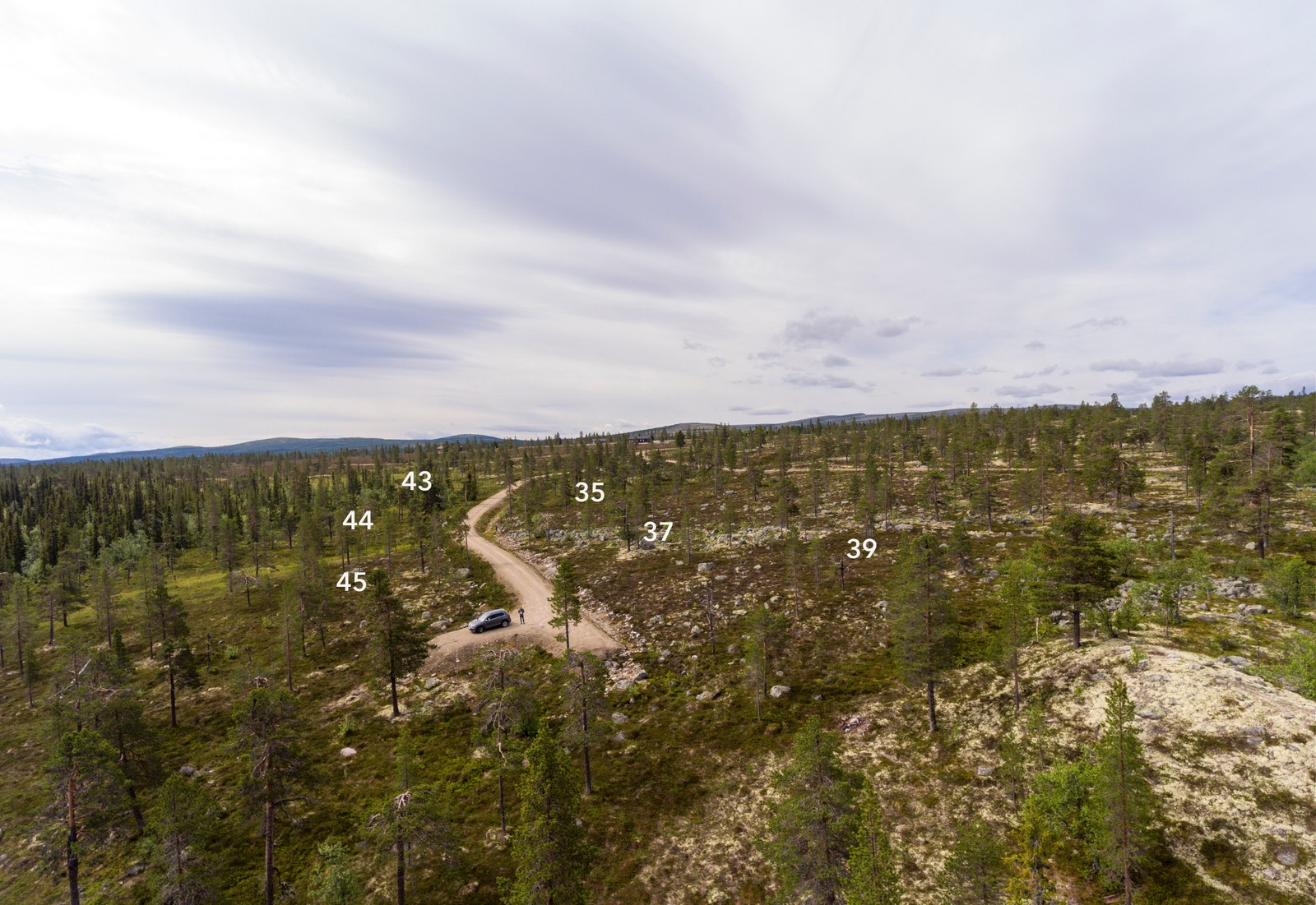 Her ser vi mot et utvalg av tomtene i nordøstlig del av Tryvang Sør Galleribilde