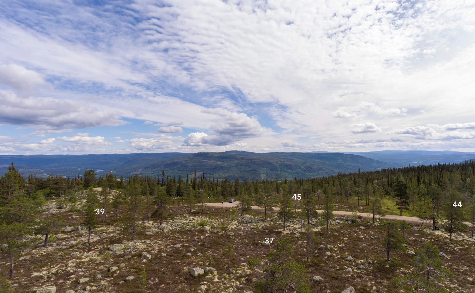 Her ser vi mot et utvalg av tomtene i nordøstlig del av Tryvang Sør Galleribilde