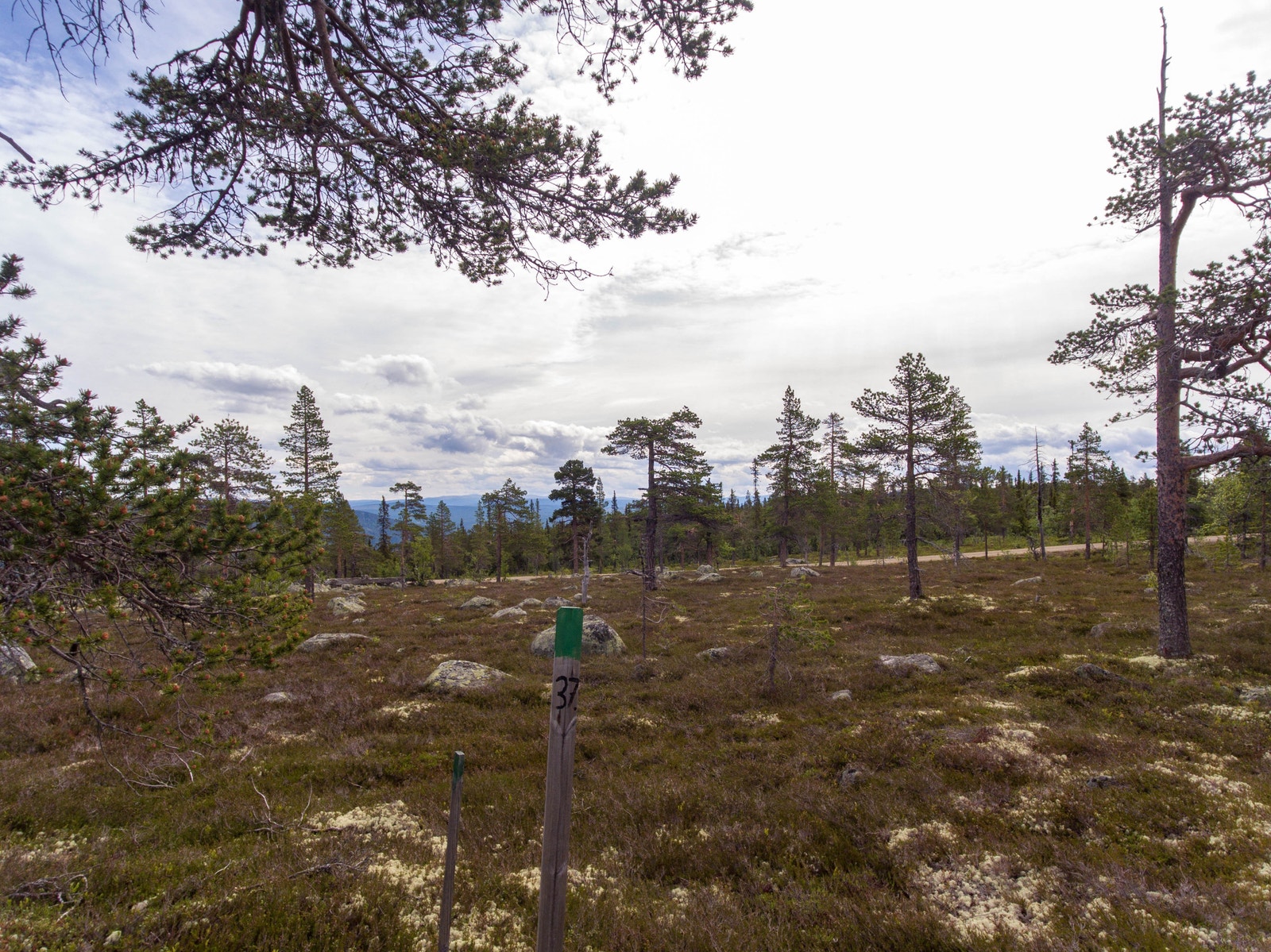 Det er lagt til rette for egenvisning i området hvor alle tomter er merket med tomtenummer Galleribilde