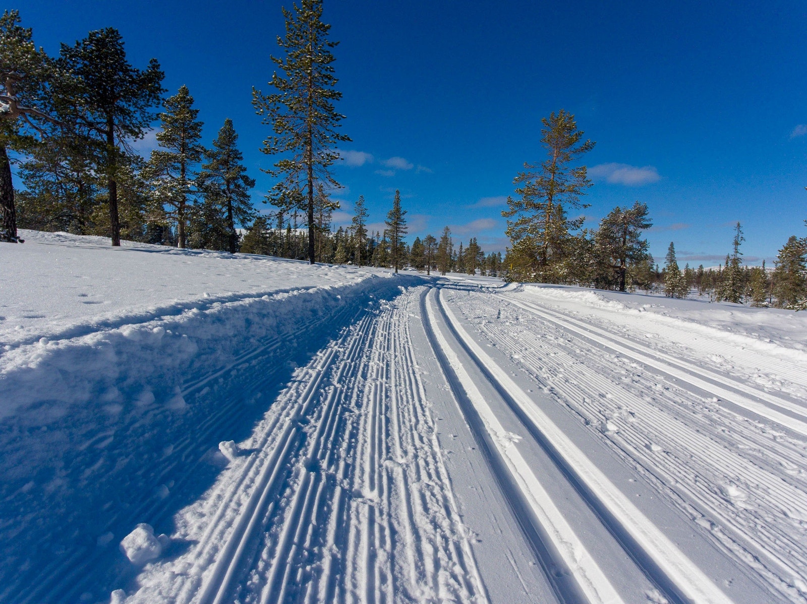 Det er oppkjørte skiløyper ved Tryvang Sør Galleribilde