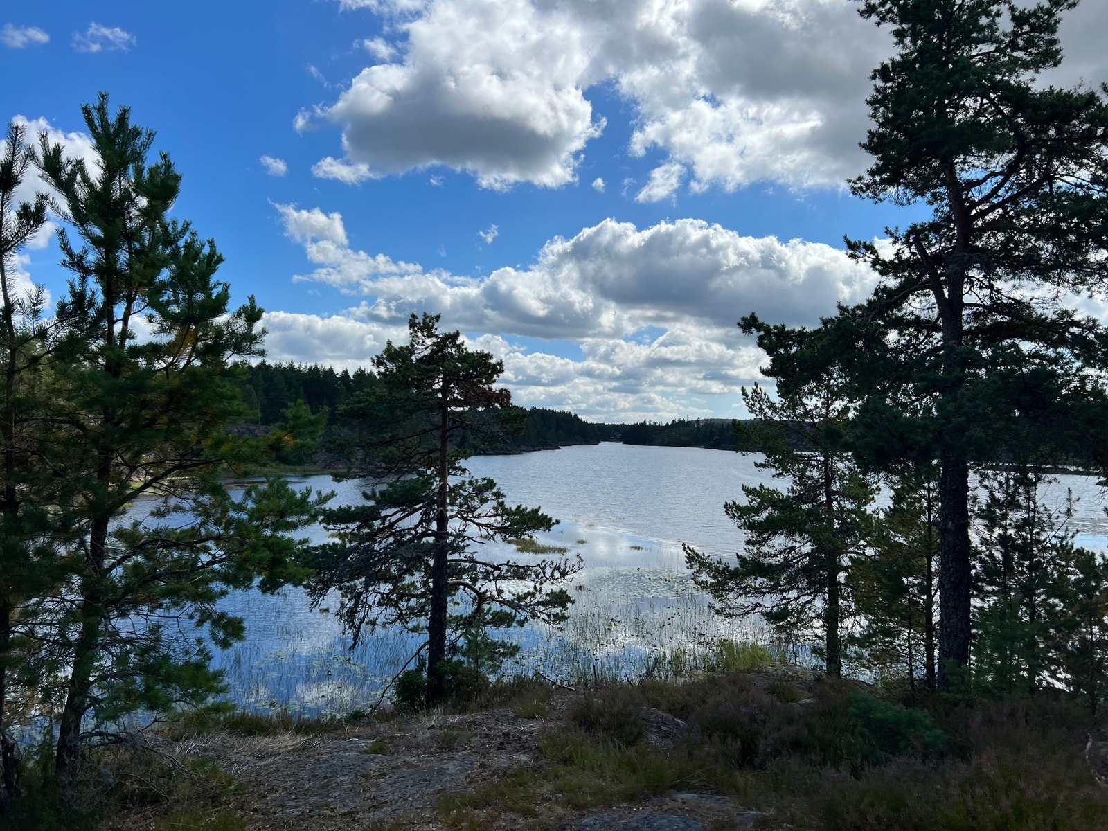 Utsikt fra eksisterende hytte Galleribilde