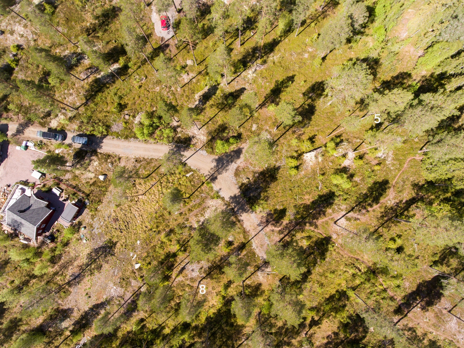 Tomtene er relativt romslige av størrelse Galleribilde