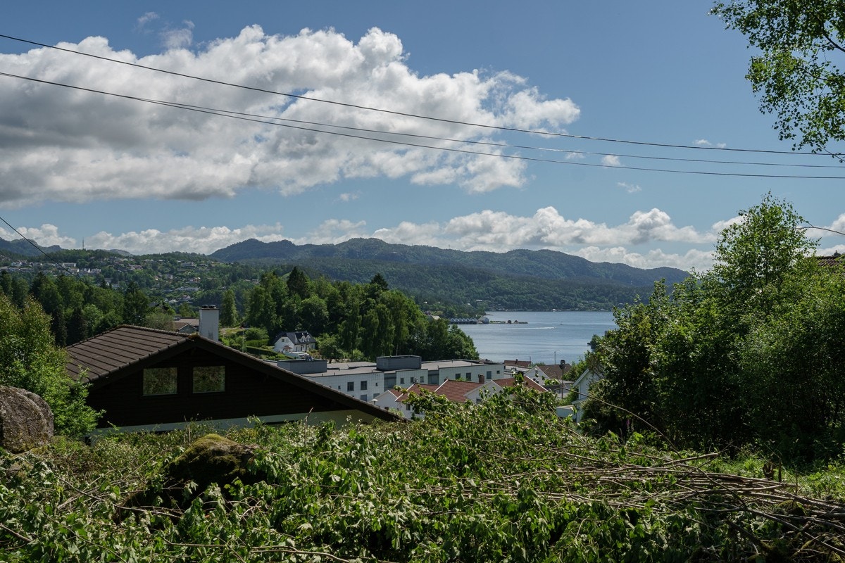 4331880_1-fccnwb1.jpg Galleribilde