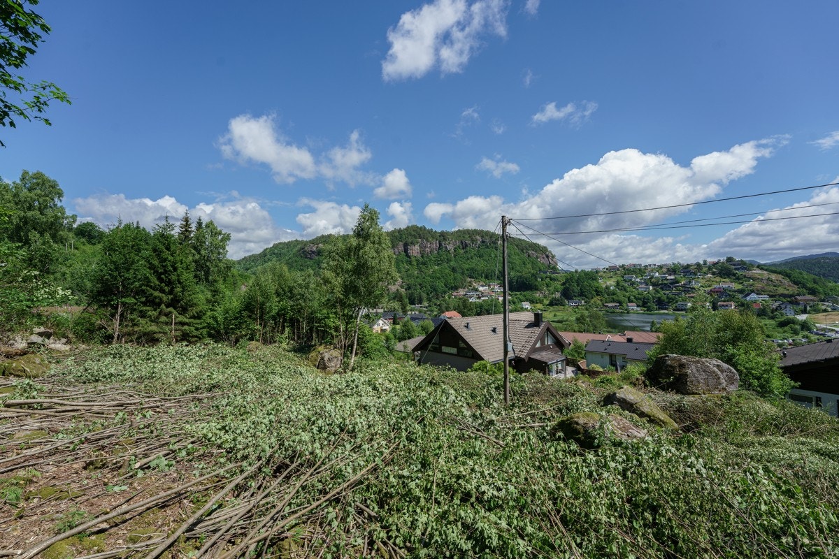 4331882_1-heyhmb1.jpg Galleribilde