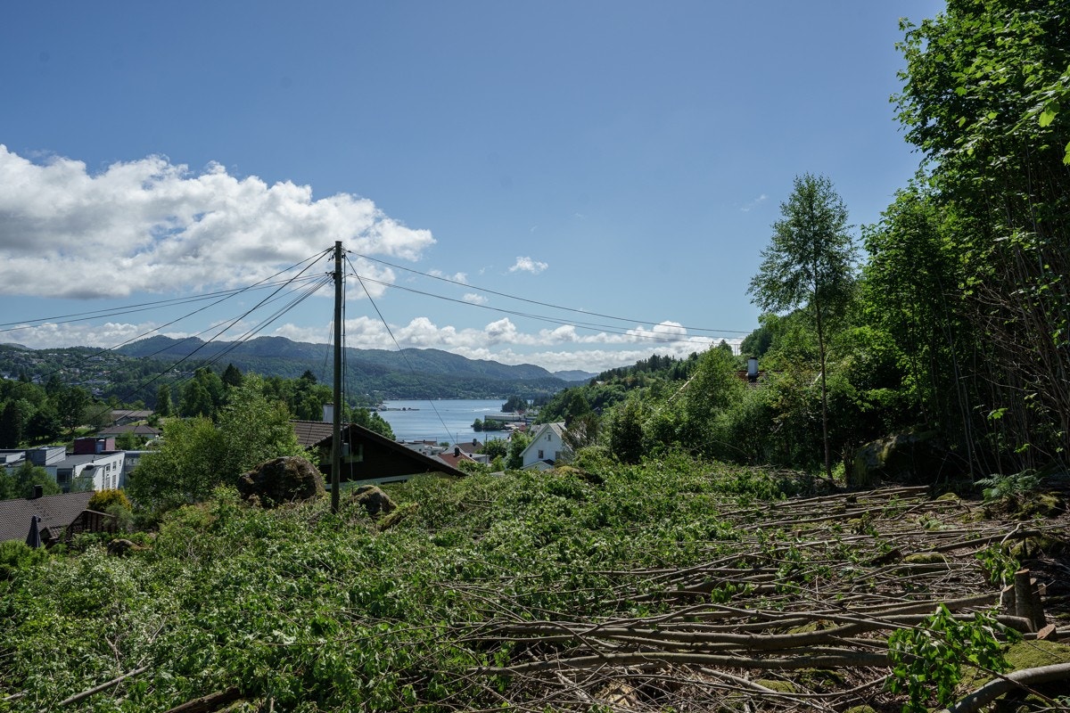 4331881_1-nwqrkb1.jpg Galleribilde