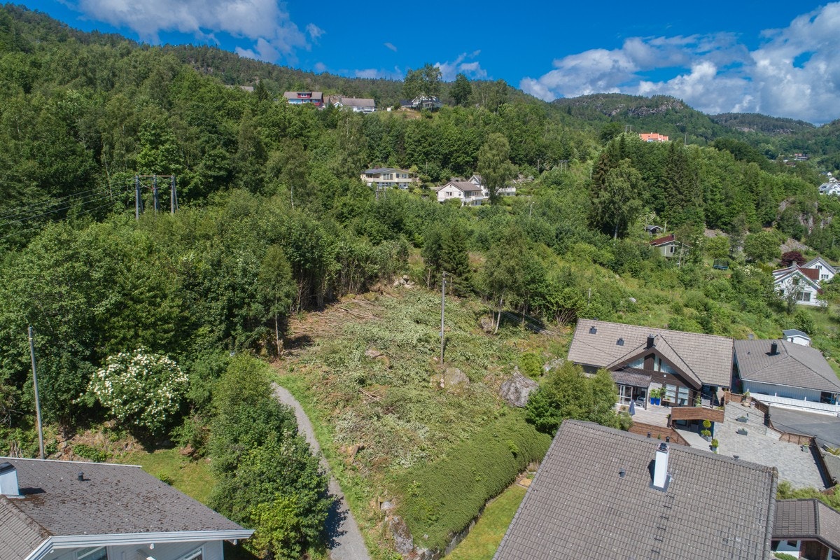 4331879_1-jpuvlb1.jpg Galleribilde