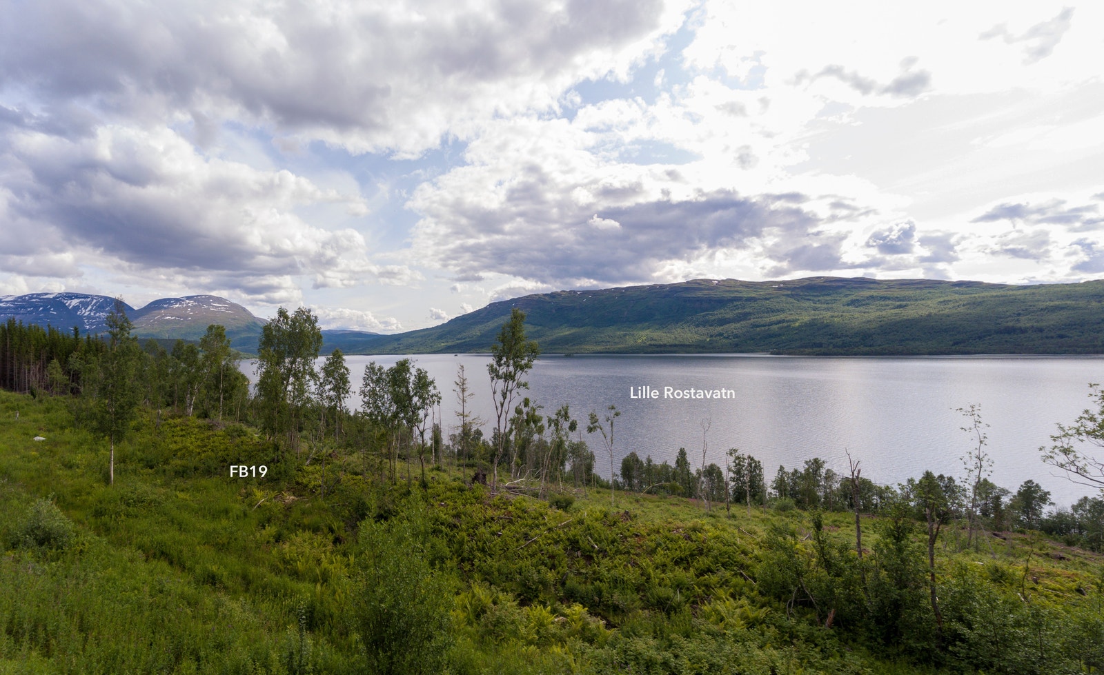 Området har god 4G-dekning/mobilt bredbånd Galleribilde