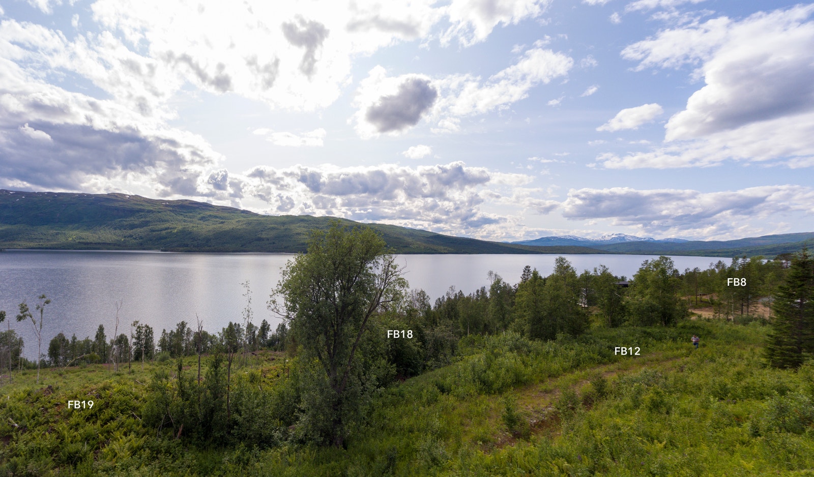 Største bruksareal (BRA) for hver tomt er for hovedbygning og for anneks/uthus/garasje 150 m2 Galleribilde