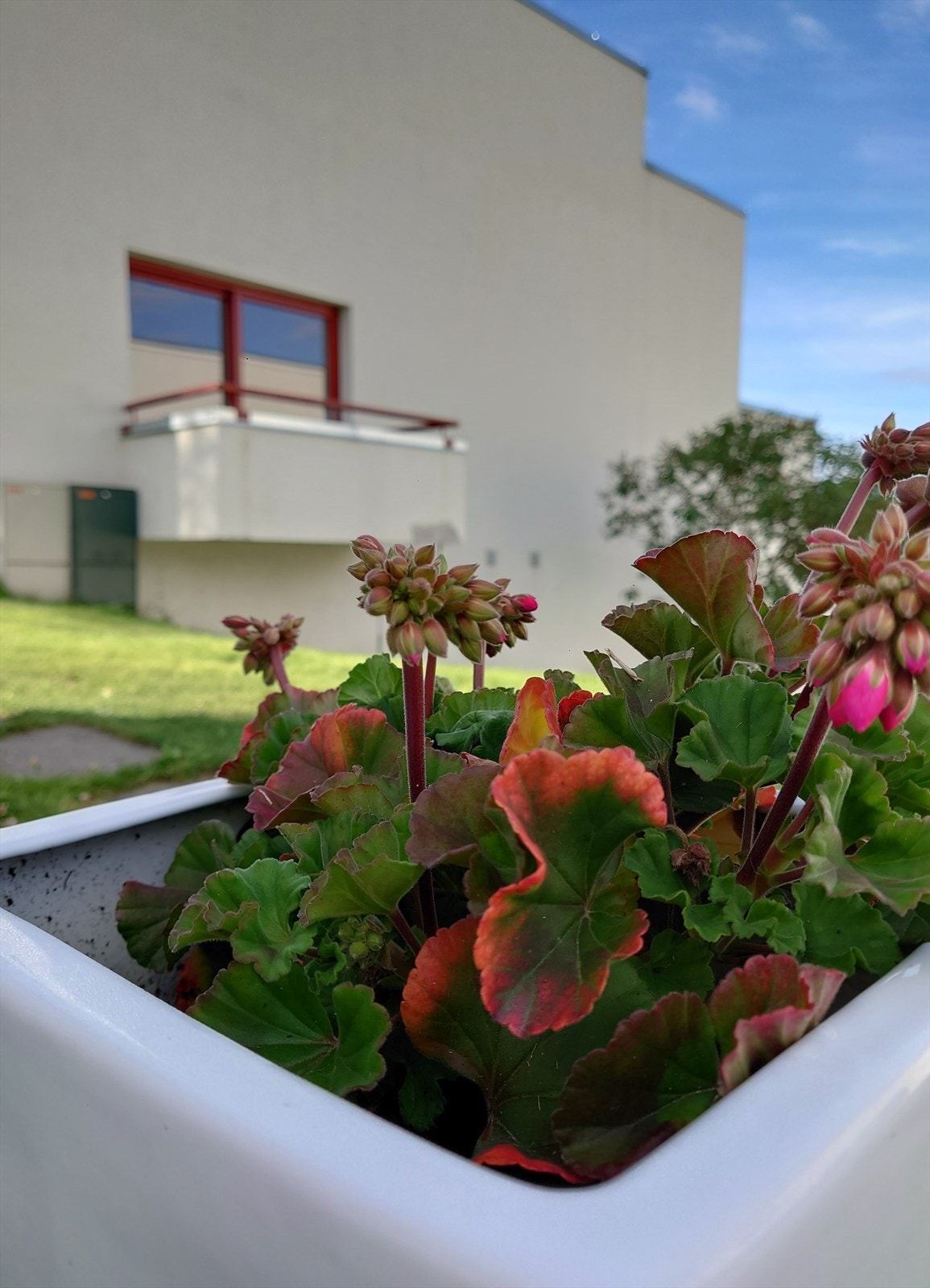 Leiligheten har egen terrasse Galleribilde