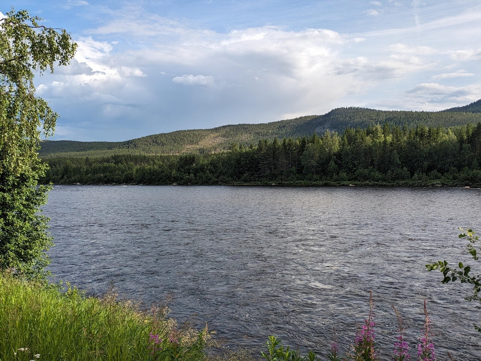 I Glomma kan man både bade, fiske og kjøre båt. Galleribilde