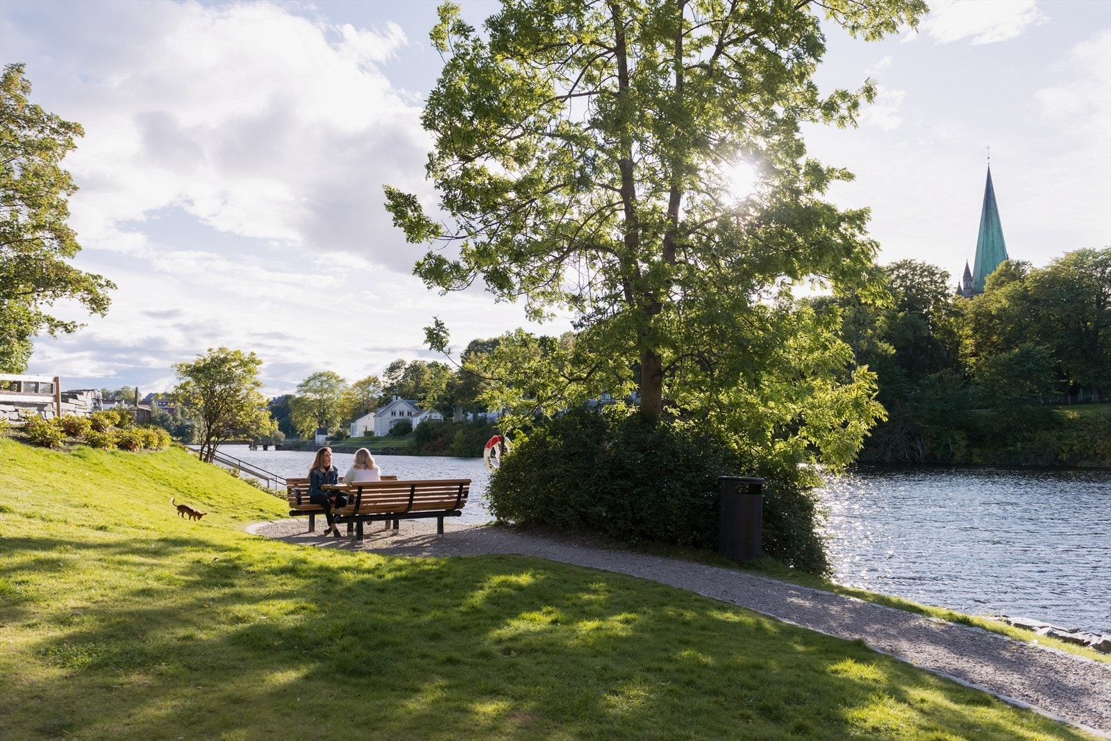 Fra utgangsdøra er det kun få meter til elvepromenaden som går langs Nidelva. Galleribilde