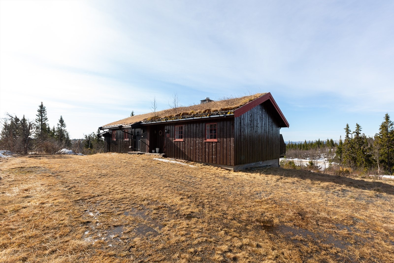 Tomta har noe gressdekke og naturlig vegetasjon. Galleribilde