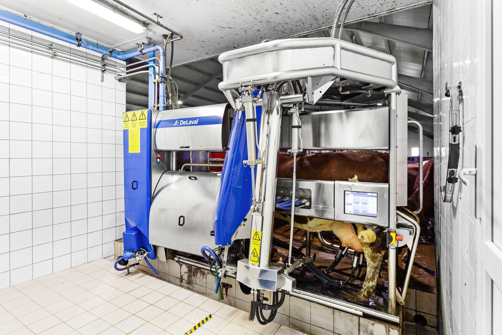 Driftsbygning med moderne DeLaval melkerobot. Produksjon er ca 430 000 liter melk. Galleribilde