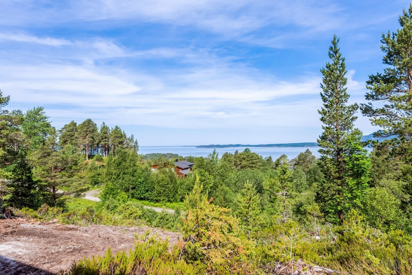 Fantastisk utsikt mot nord Galleribilde