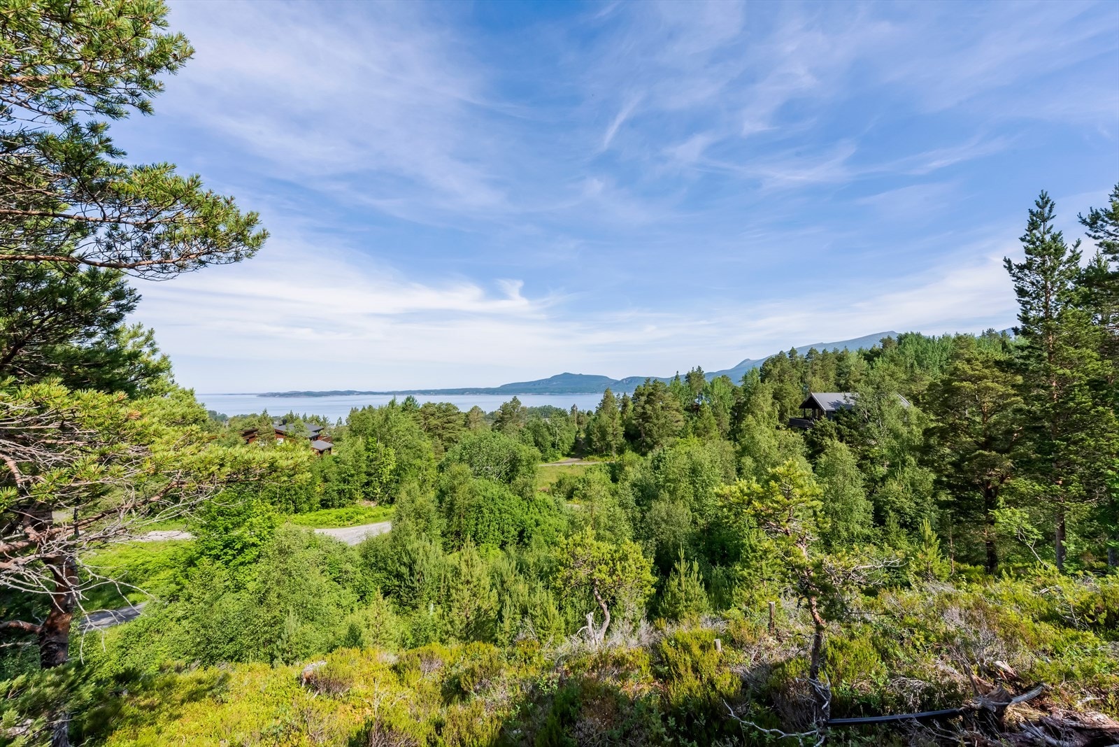 Utsikt mot nord Galleribilde