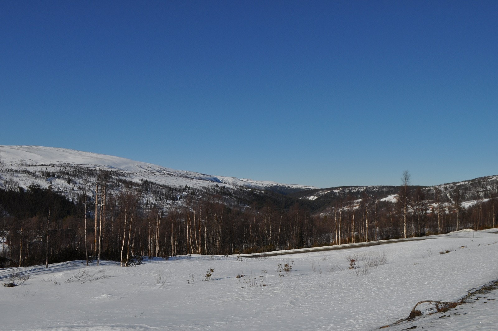 Her er bildeutsnittet vridd til høyre fra forrige bilde hvor vi her ser skrått mot tomt F6 og inngangen til Hessdalen fra Ålen Galleribilde