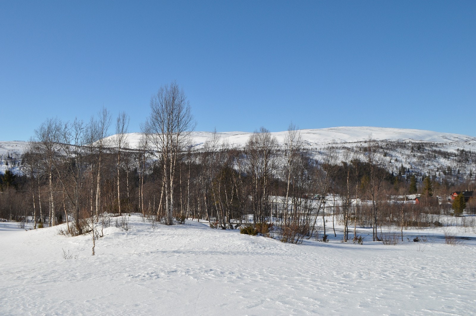 Her står vi med tomt F7 i ryggen og ser på skrått mot tomt F5. Galleribilde