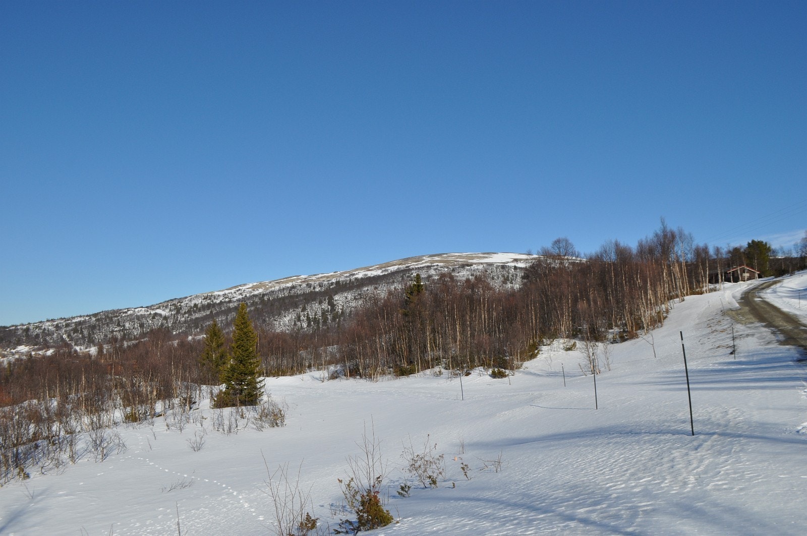 Her ser vi mot tomtene F2 og F3 på skrått til venstre i bilde og mot tomt F4 Galleribilde