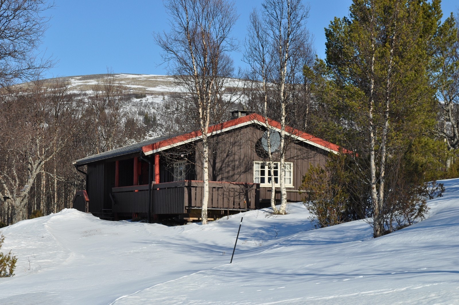 Alle tomtene har tilførselsvei for bil helt frem til hyttedøra med god mulighet for parkering Galleribilde