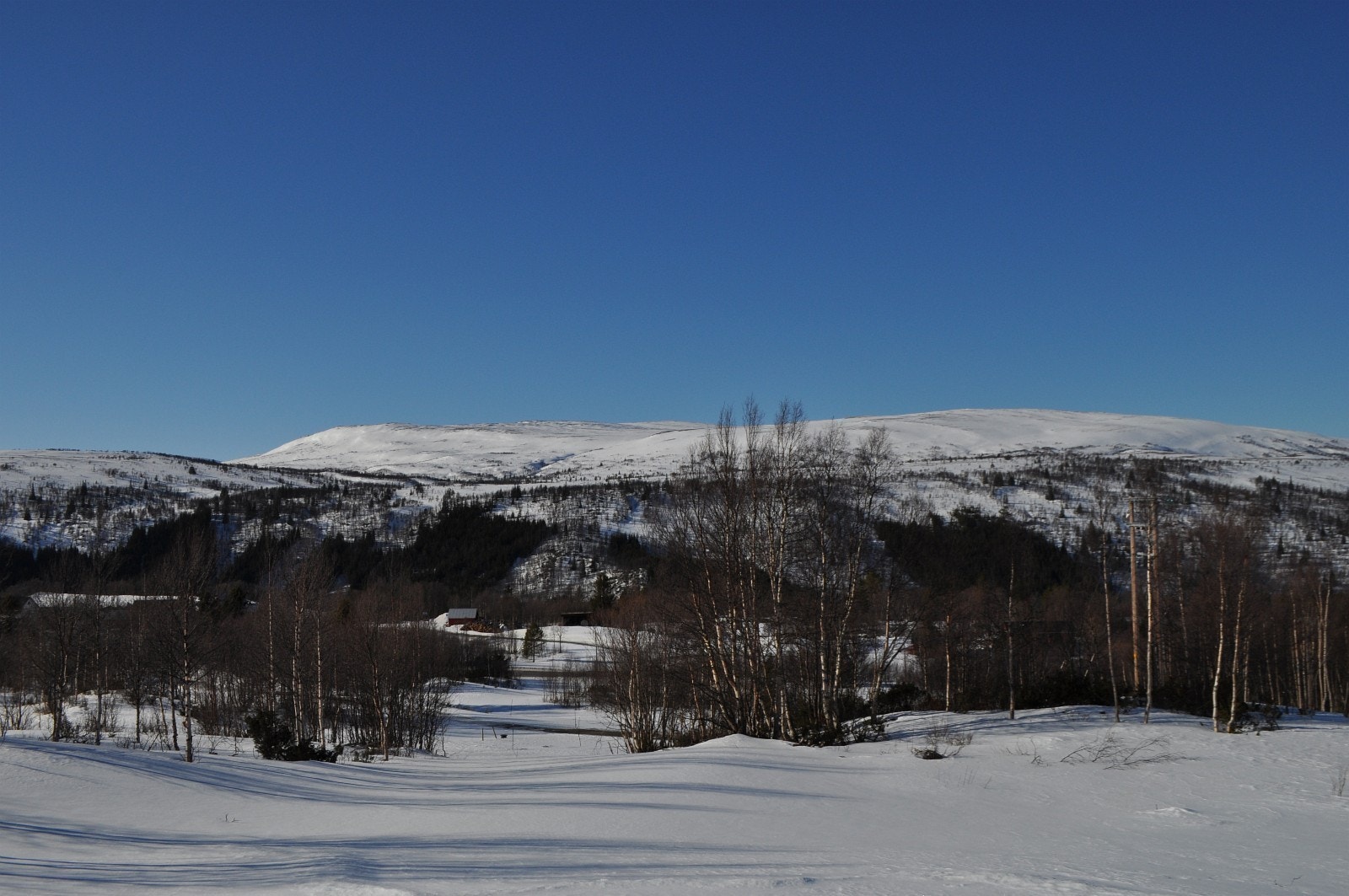 Her fra toppen av tomtene F6 og F7. Grunneier forestår gjerne visning av Hegseth hyttegrend Galleribilde