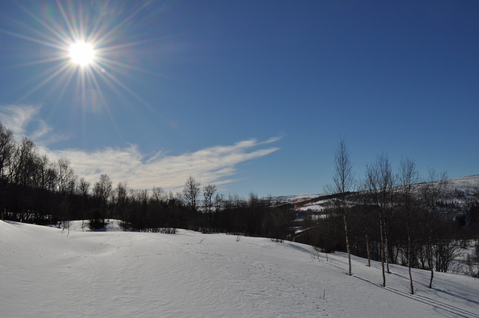 Her fra toppen av Hegseth hyttegrend med utsikt mot tomtene F5, F6 og F7 mot høyre i bilde Galleribilde