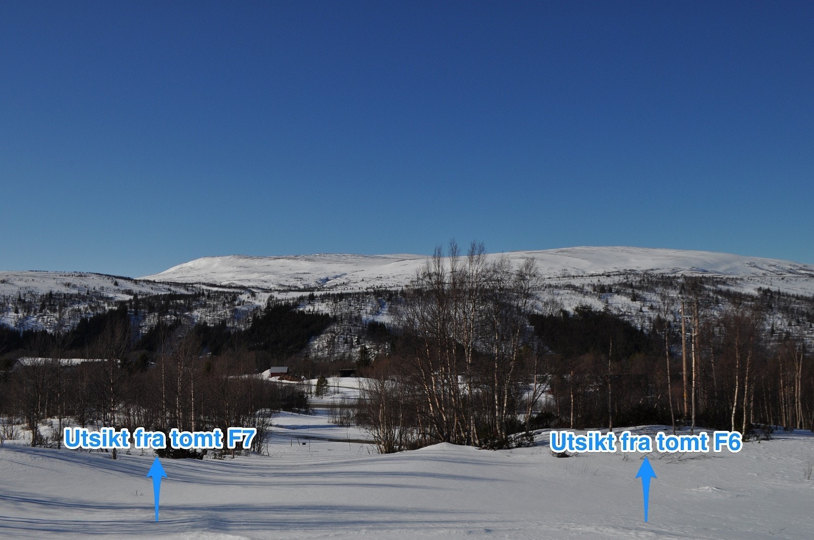 Trær kan fjernes for enda bedre utsikt etter avtale med grunneier Galleribilde