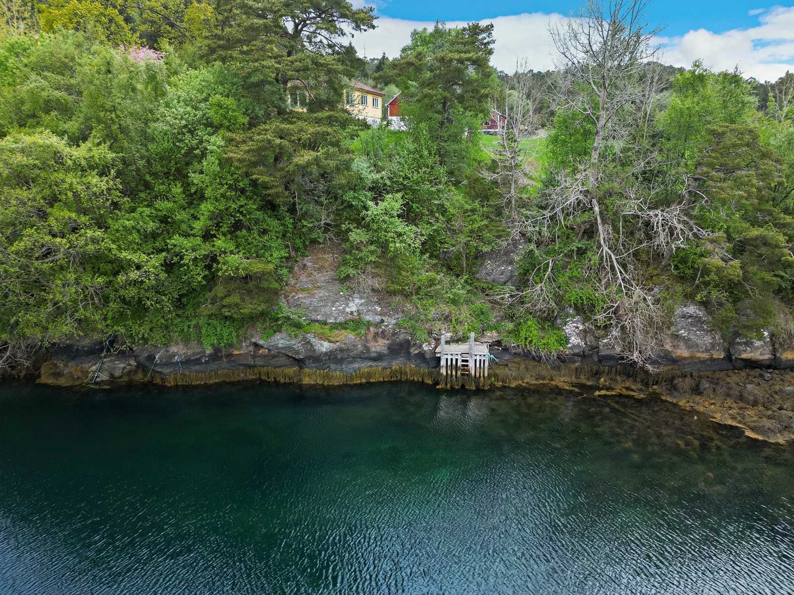 Enkel trekai like ved tunet Galleribilde