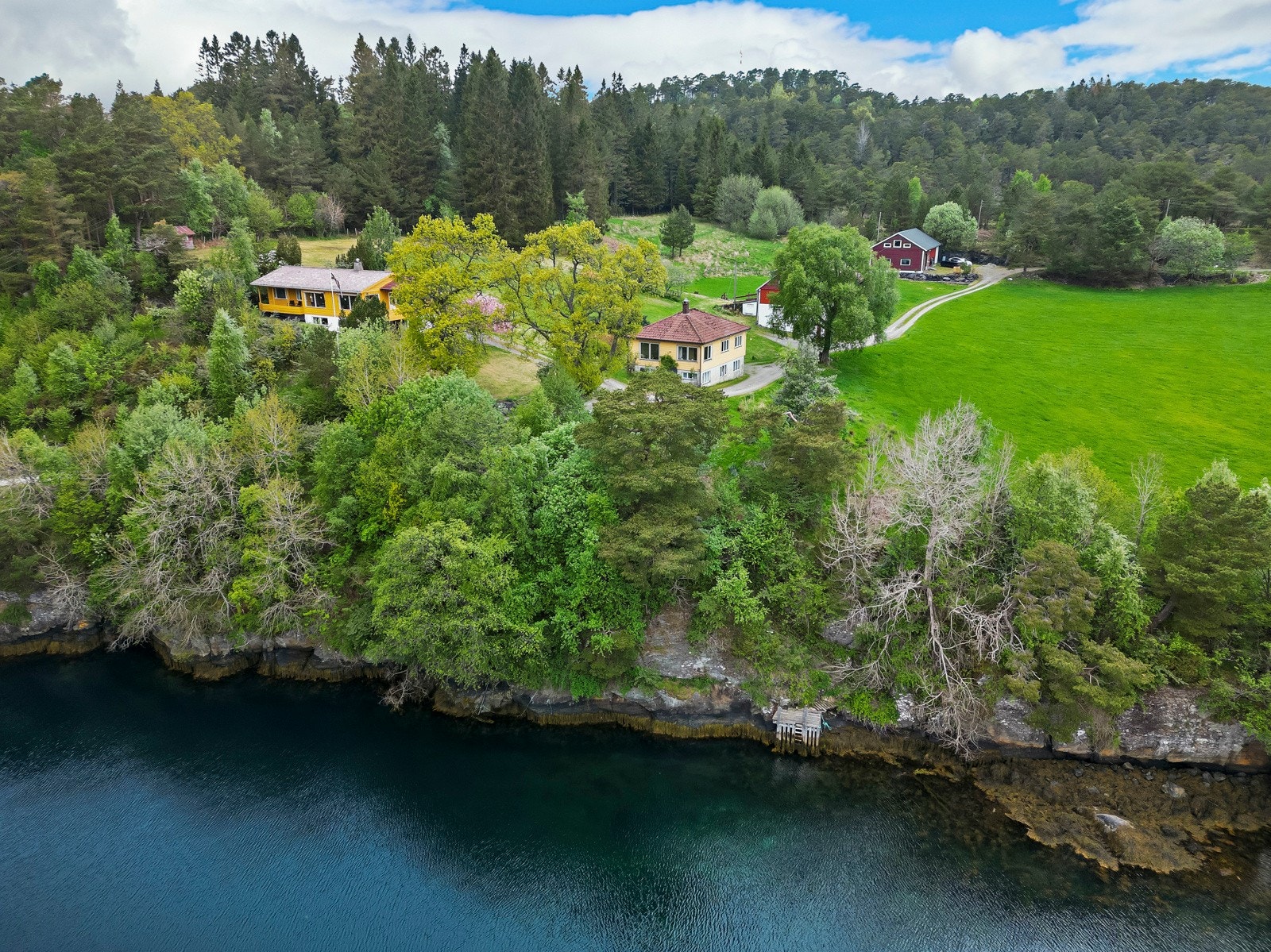 Eiendommen har strandlinje mot fjorden mot sør og øst Galleribilde