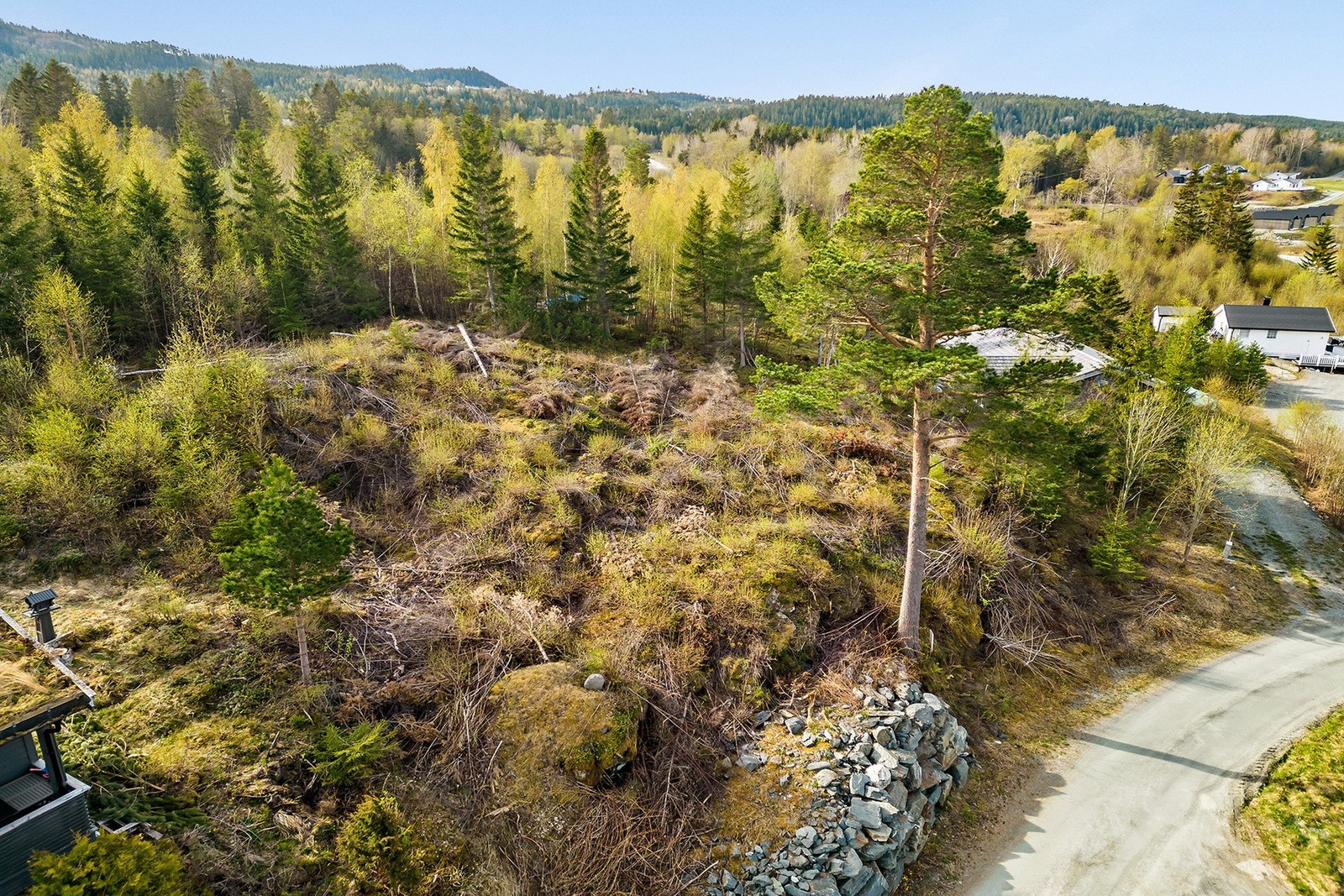 Meget romslig tomt, med enkel adkomst. Galleribilde