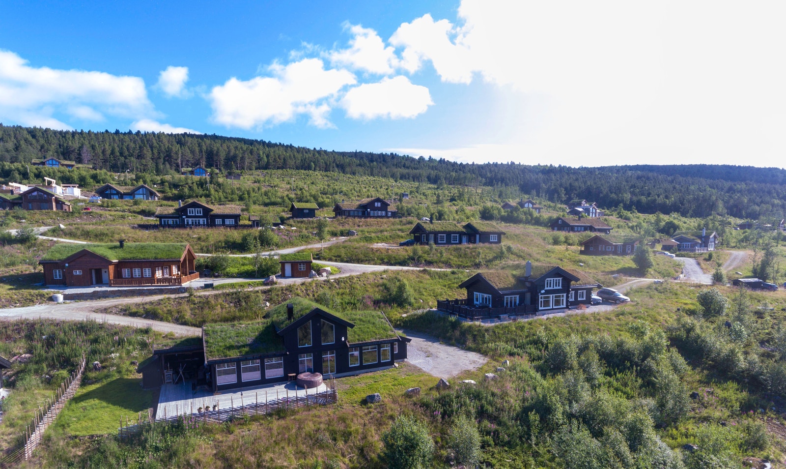 Lia Fjellgrend som skapt for rekreasjon, turer i skog, mark og fjell Galleribilde