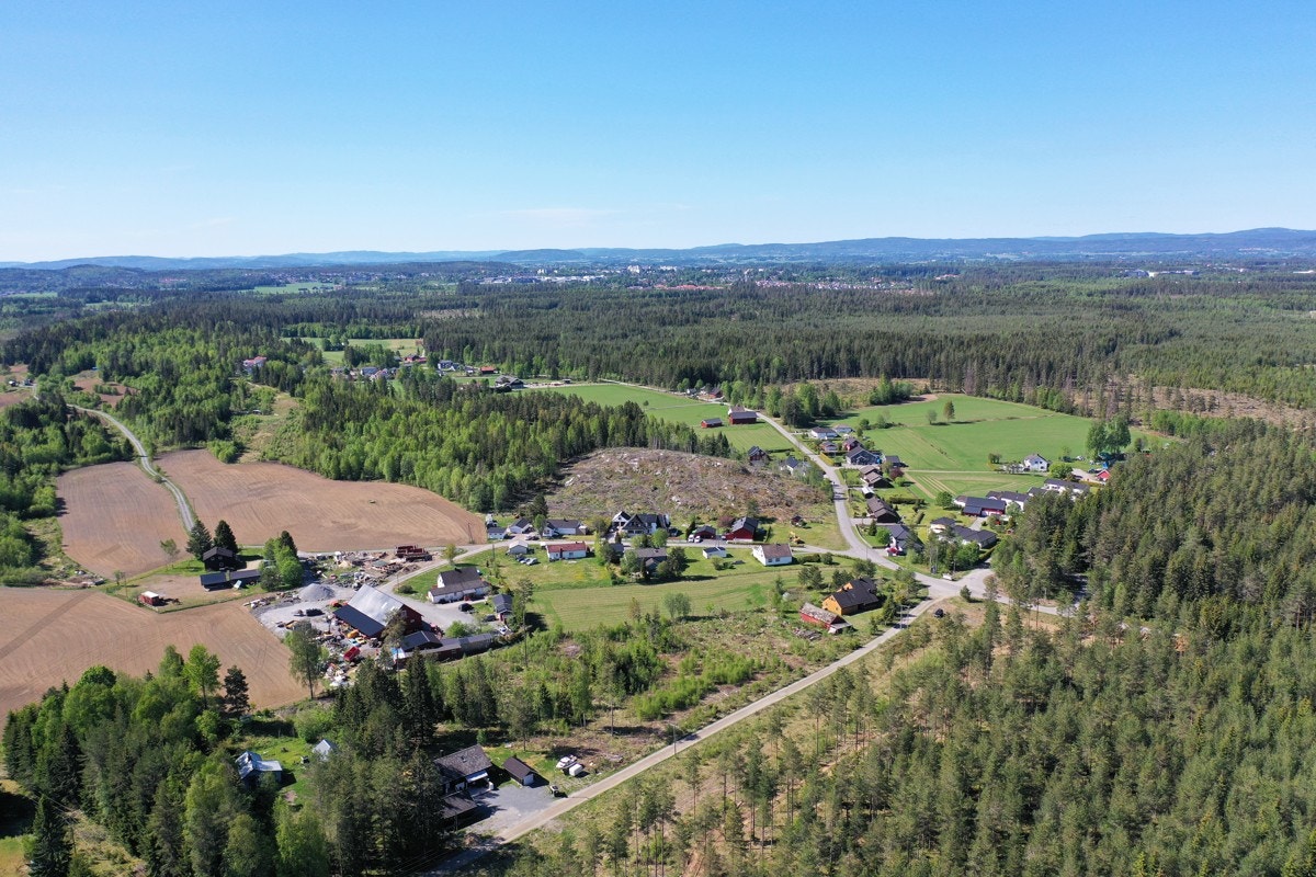 Vangenfjellet. Galleribilde