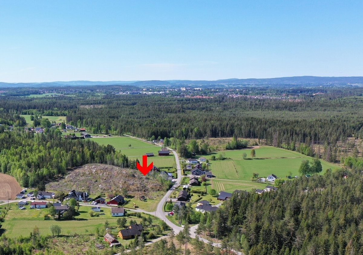 Vangenfjellet med nabolaget rundt. Galleribilde