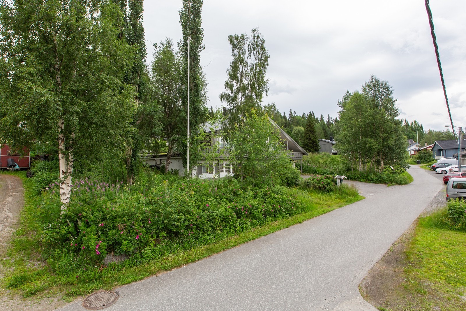 010A6295 Galleribilde