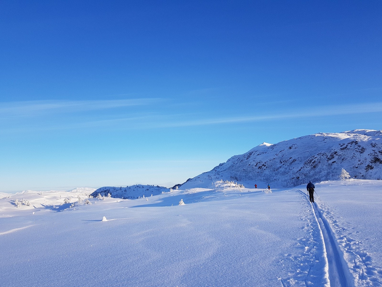 Mellingfjellet, 574 moh. Flotte turmuligheter også utenfor preparerte skiløyper. Foto: Skeisnebba Hytteområde Galleribilde