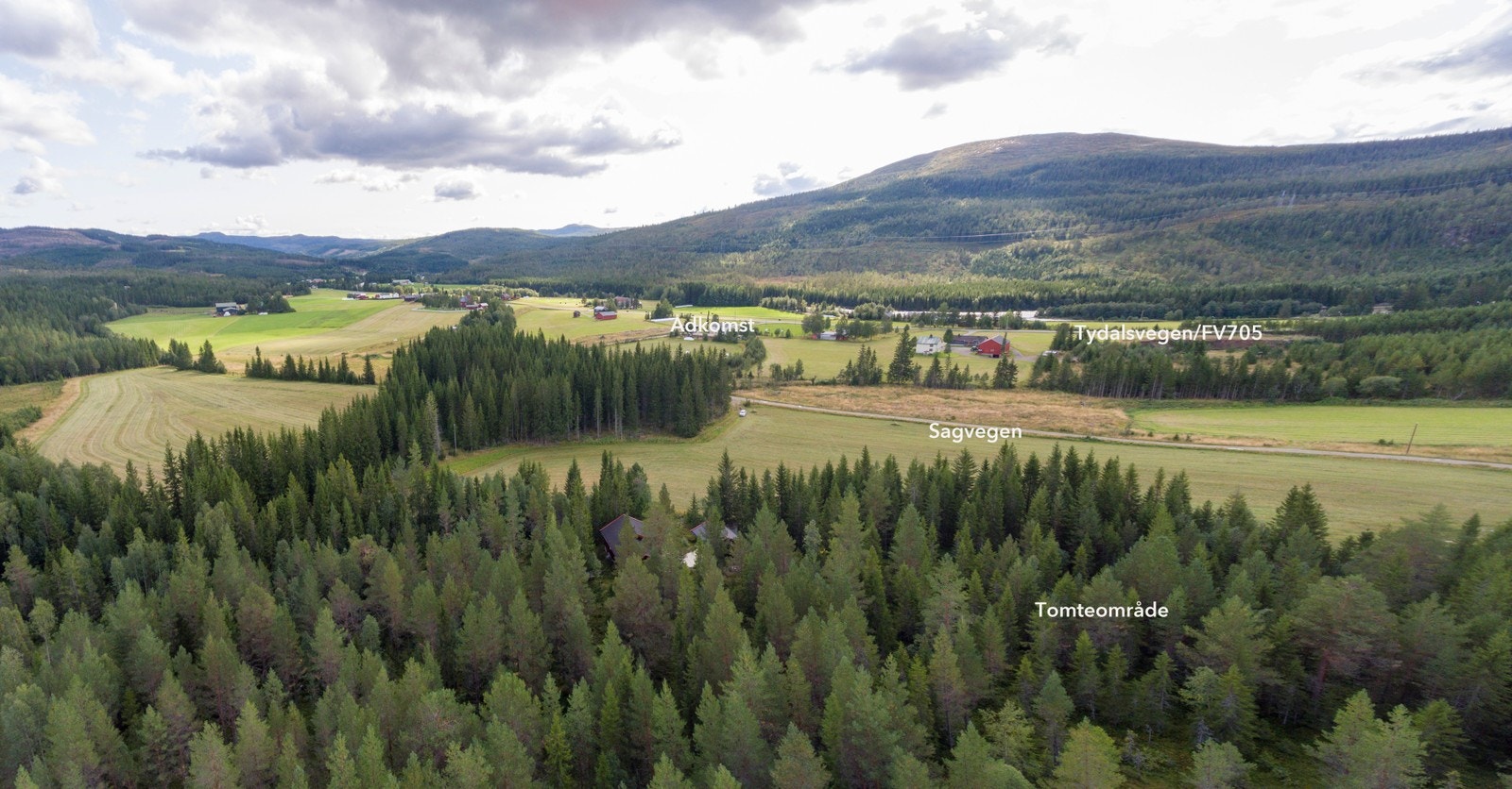Velkommen til Tydal og Sagvegen boligområde! Galleribilde