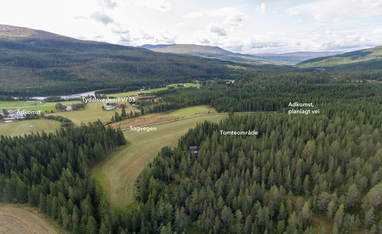 Tomtene tilbys uten byggeklausul Galleribilde