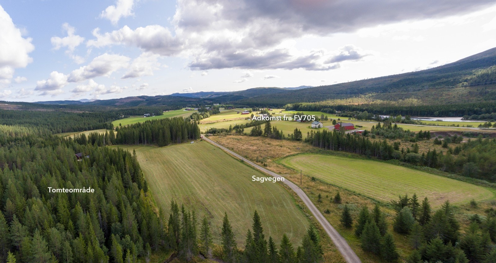 Det vil bli opparbeidet vei for adkomst til tomtene Galleribilde