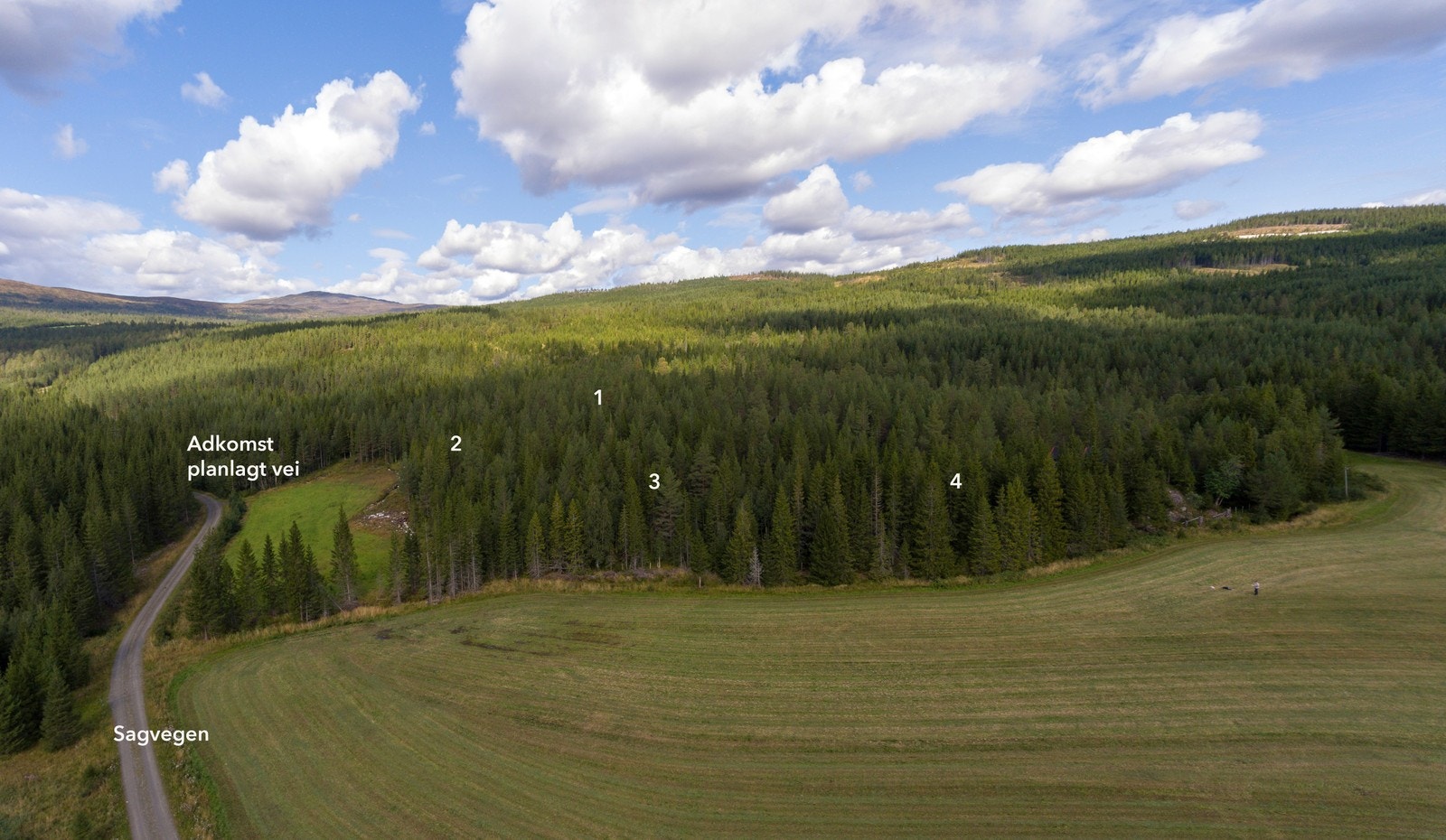 Tydal kommune har et høyt servicenivå, med gode skole- og barnehagetilbud Galleribilde