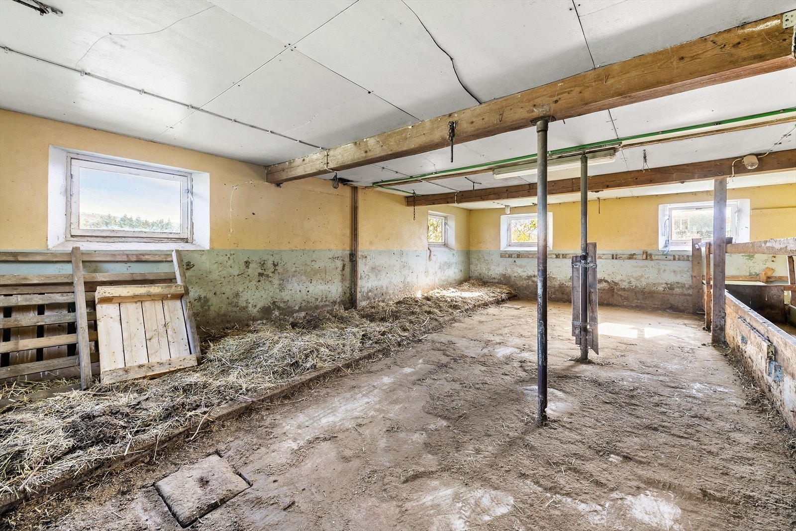 Innvendig fjøs. Galleribilde