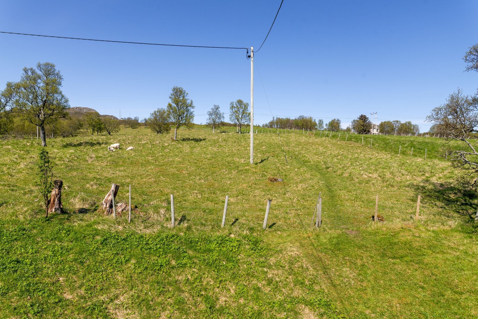 Utsikten Galleribilde