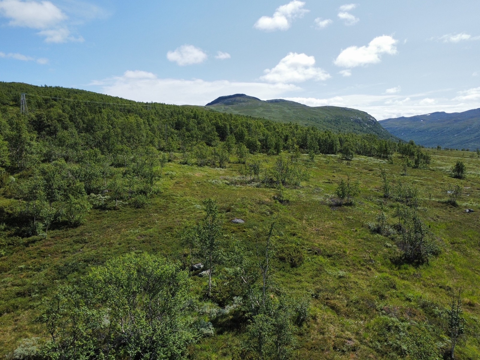 Tomte området Galleribilde