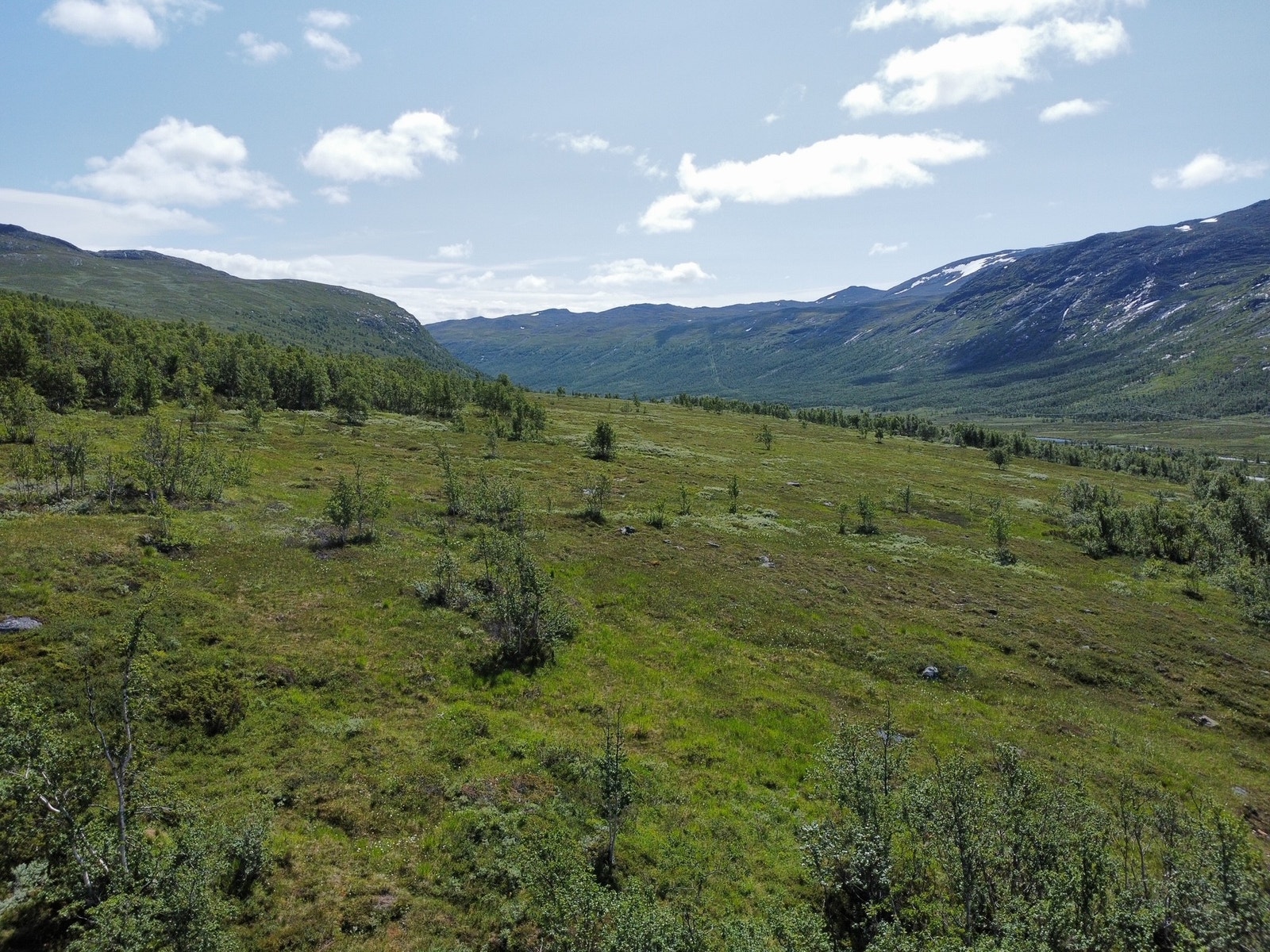 Tomte området Galleribilde