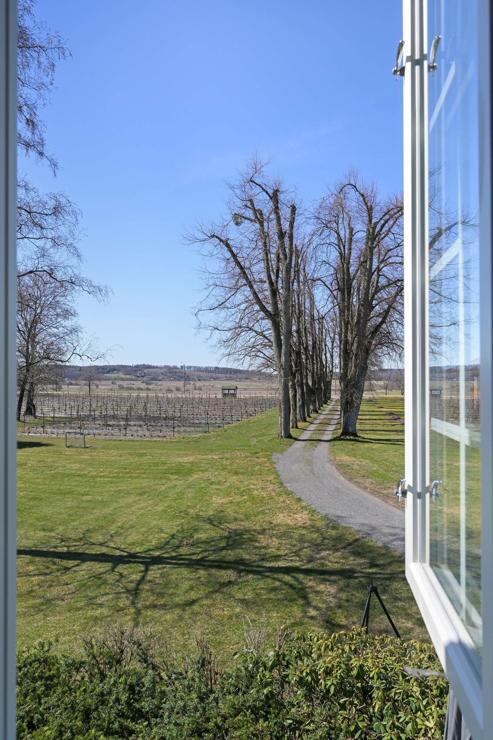 Soveromsutsikt Galleribilde