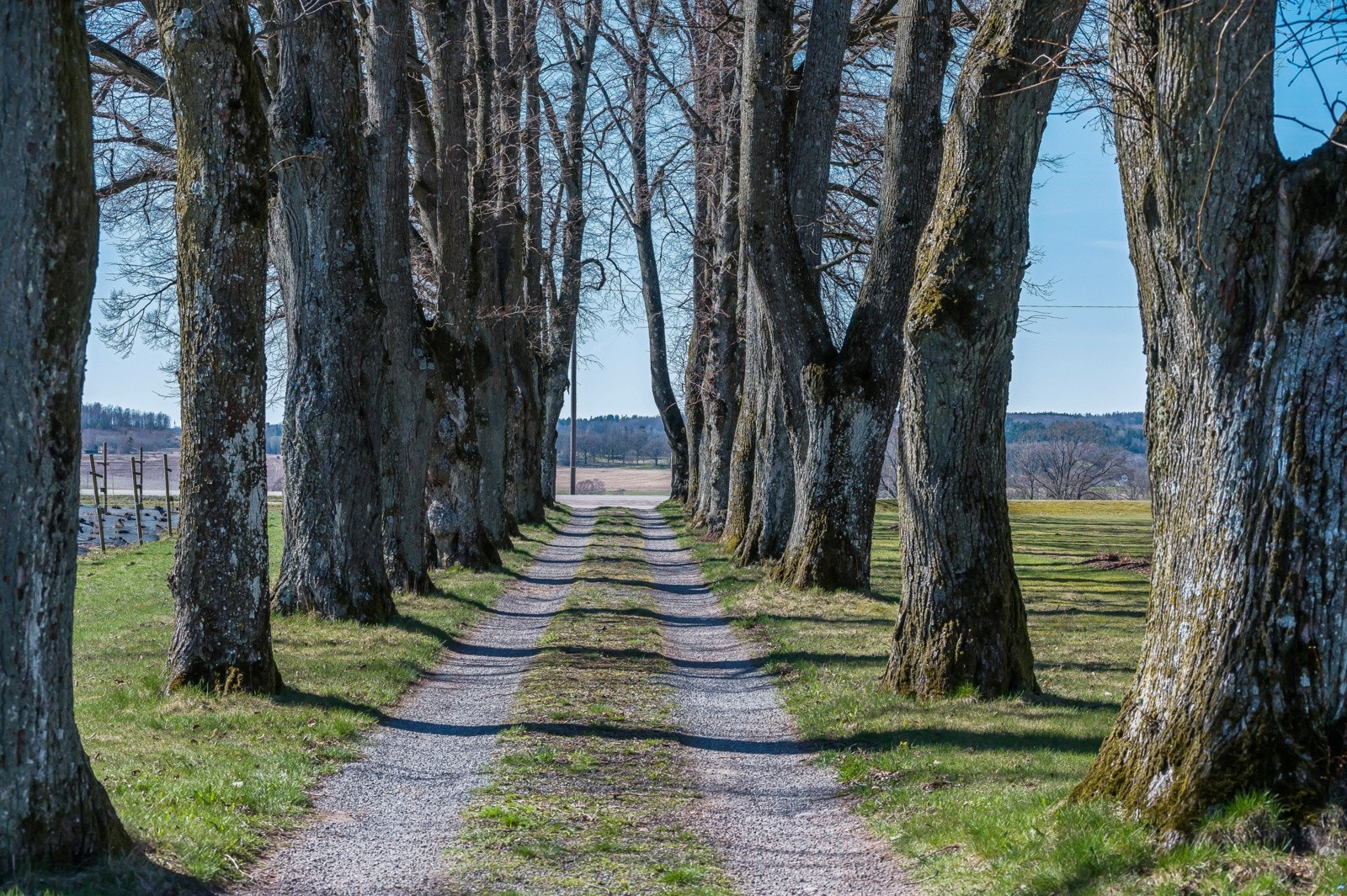 Hyggelig adkomstvei for både fastboende og gjester... Galleribilde