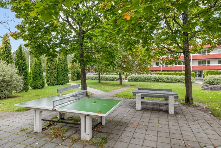 Fra borettslagets fellesareal. Galleribilde