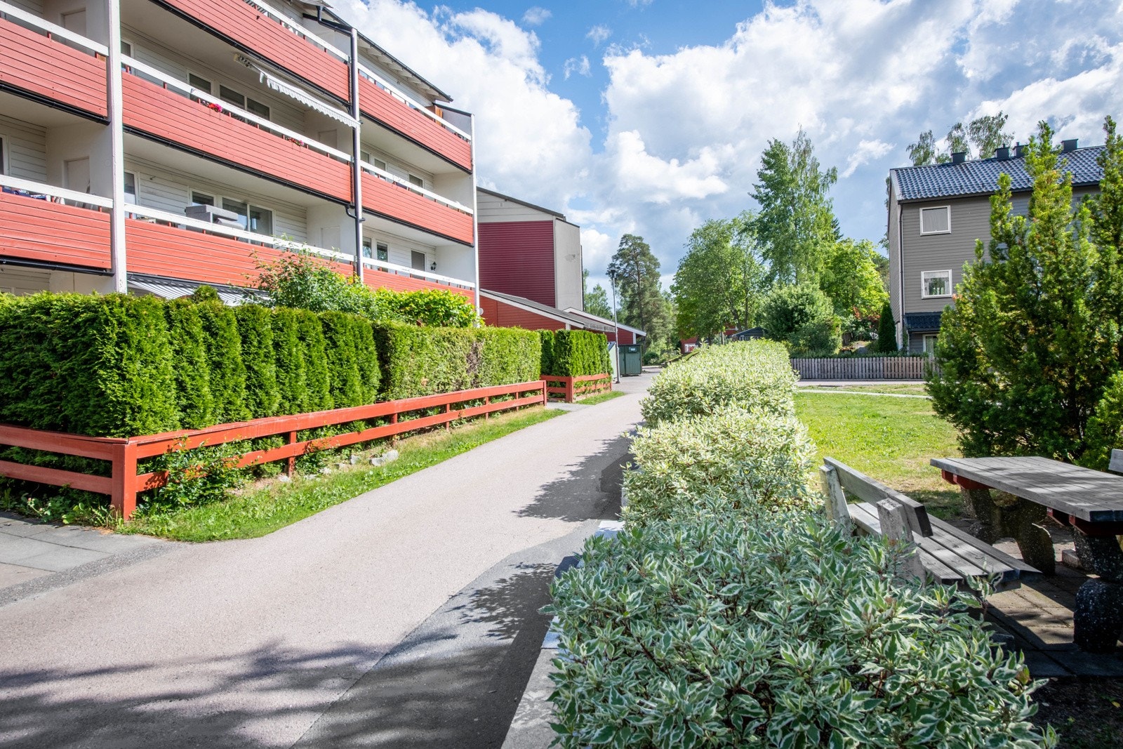 Usjenert hage bak hekken. Galleribilde